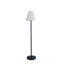 150CM LED Floor Lamp Solar + DC Carousel 2