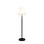 150CM LED Floor Lamp Solar + DC Carousel 5
