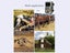 PTN New Hunting Trail Camera Sale Sale Sale Carousel 4