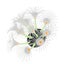 Loading Image 1 of 8