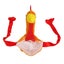 turkey hat thanksgiving hat thanksgiving turkey hat turkey thanksgiving hat Carousel 8