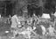 AN ACCIDENTAL BUSHMAN. Adventures of a Forest Ranger in 1960s backcountry NZ Carousel 6