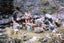 AN ACCIDENTAL BUSHMAN. Adventures of a Forest Ranger in 1960s backcountry NZ Carousel 8