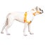 RPR Nelson Rip Vest Carousel 1