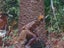CANNIBALS, CROCODILES & CASSOWARIES. Adventures of a young Kiwi in New Guinea Carousel 7