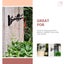 New 2 Set Cast Iron wall Hanging Plants Hook Afterpay Carousel 12
