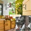 New 2Pcs Cast Iron Plant Hanger Brackets Wall Hanging Plants Hook Sale Sale Carousel 6