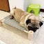 Removable and Washable Raised Pet Bed Carousel 3