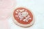 Vintage Lucite Floral Cameo Carousel 2