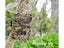 PTN New Hunting Trail Camera Waterproof Sale Sale Carousel 4