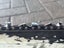 Loading Image 5 of 5