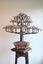 Copper Bonsai Tree Sculpture hand made Carousel 12