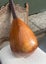 Antique/Vintage Spanish Bowl Round Back Wooden Mandolin Carousel 5
