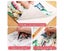 Dual Tip Alcohol Markers Dual Tip Colouring Pens 80 Colors Carousel 7