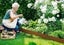 Garden Edging Set,Lawn Landscape Carousel 2