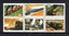Loading Image 1 of 1