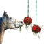 Loading Image 1 of 6