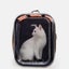 Pidan Pet Cat 53cm Foldable Carry Backpack Portable Travel Storage Bag Khaki Carousel 2
