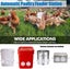 Chicken Feeder Station Automatic Poultry Feeder *Local Buy* Carousel 5