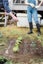 Detachable Hand Held Weed Wiper Easy Use Herbicide Sprayer Rope Wick Applicator Carousel 8