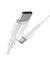 Hoco D40 Fast Charging Data Cable Type C to Type C 60W Carousel 4