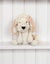 TOFT Amanda the Cockapoo Kit Carousel 3