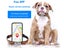 GPS Tracker For Pet Dog Clearance - Clearance Carousel 3