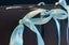 Aquamarine 7.13ct & Coloured Sapphire Ring 3.47ct Valuation $13,160 Carousel 6