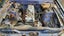 gallery view thumbnail