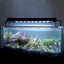 fish tank lights led S:60cm/78 leds Sale NZ Stock Deal Carousel 5