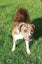 Leo - Loving Home Needed by 18 May Carousel 3