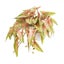 Loading Image 1 of 2