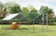 Chicken Run Chicken Coop Carousel 6