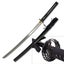 Ten Ryu Black Samurai Sword Carousel 1