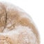 Luxury Sheepskin Bean Bag Carousel 12