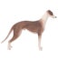 Loading Image 1 of 8