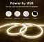 Neon USB Warm White LED Strip Light 3m Carousel 3