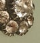 ___ Antique Georgian Solid Gold Silver Paste Ring Carousel 10