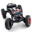 RC Car 1/24 Remote Control Car, Power Wagon 4WD RC Crawler Two-Speed Shift Carousel 6