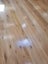EUROPEAN OAK - BLANKS - 147 x 20mm - 60m - TS7730 Carousel 9