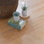 EUROPEAN OAK - BLANKS - 147 x 20mm - 60m - TS7730 Carousel 14