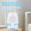NEW Portable Dehumidifier Clearance Carousel 7
