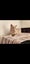 Rescue cat Simon Carousel 5