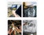 PTN New Endoscope Sale Sale Carousel 14