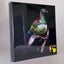 Sophie Blokker Keruru LED Print Carousel 1