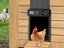 Solar Automatic Chicken Coop Door Opener Cage Closer with Timer Light Sensor Carousel 4
