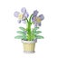 Loading Image 1 of 7