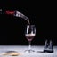Spout Drip-free Wine Decanter Bottle Pourer, For Wine Instantly Perfect Gift For Carousel 4