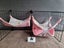 Set of 2 Hammocks for Guinea Pigs, Rats, Chinchillas, and Other Small Pets Carousel 3