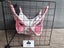 Set of 2 Hammocks for Guinea Pigs, Rats, Chinchillas, and Other Small Pets Carousel 5